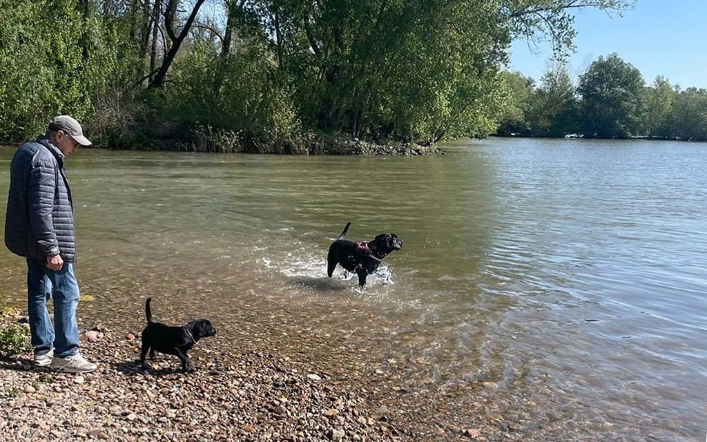 Mann mit zwei Hunden am Rhein