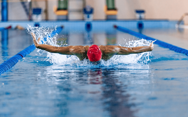 Delphinschwimmen Person beim Delphinschwimmen